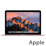 Ремонт Apple MacBook Mid